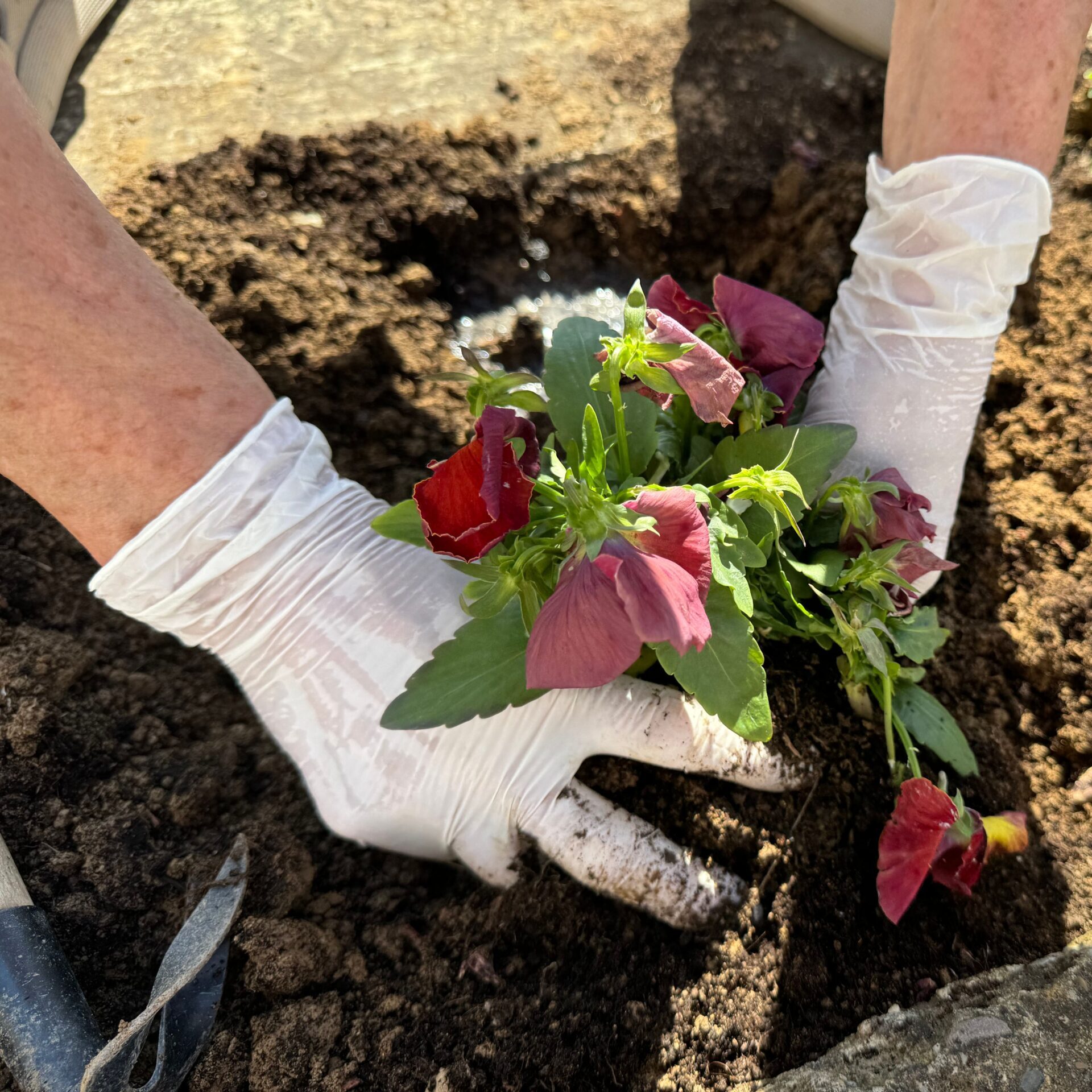 a pile of well aerated soil, with lots of small plant fibres visible in it